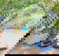 Jungle Love Festival - Accommodation Coffs Harbour