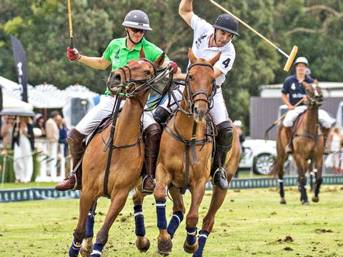 Land Rover Polo In The City - Accommodation Coffs Harbour 0