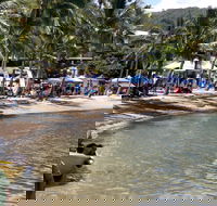 Lions Airlie Beach Community Markets - Accommodation Coffs Harbour