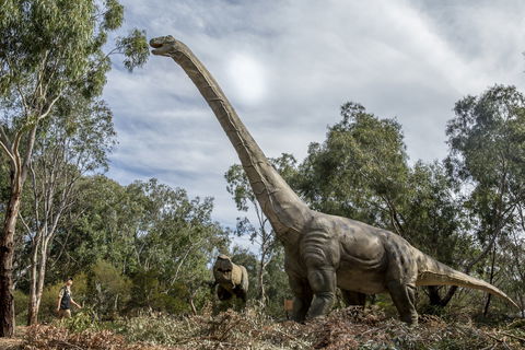 Lost Sanctuary At Healesville Sanctuary - Accommodation Coffs Harbour 0