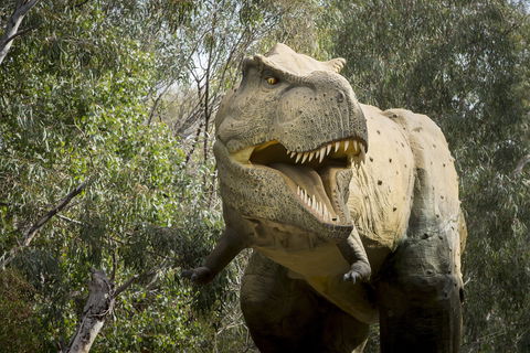 Lost Sanctuary At Healesville Sanctuary - Accommodation Coffs Harbour 2