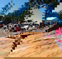 Maleny Wood Expo From Seed to Fine Furniture - Accommodation Coffs Harbour