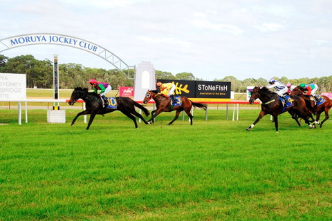 Moruya Cup - Accommodation Coffs Harbour 2