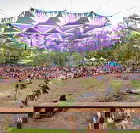 Mushroom Valley Festival - Accommodation Coffs Harbour