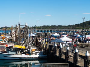 Ocean Harvest Festival