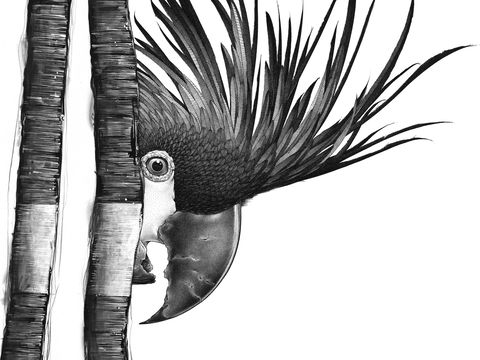 Open Studio's Highlands - Darren Gilbert - Accommodation Coffs Harbour 2