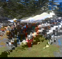 Palm Beach Market - Accommodation Coffs Harbour