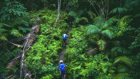 Reef To Reef - Accommodation Coffs Harbour 7