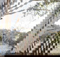 Sculptures in the Garden - Accommodation Coffs Harbour