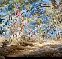 Shimano Mountain Bike Grand Prix  Logan - Accommodation Coffs Harbour