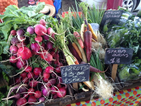 South Geelong Farmers Market - Accommodation Coffs Harbour 0