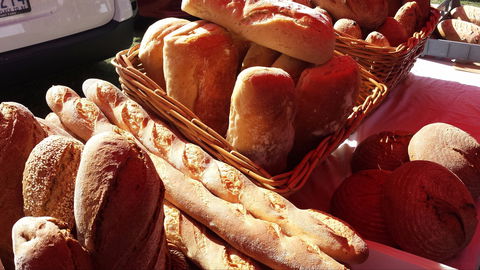 South Geelong Farmers Market - Accommodation Coffs Harbour 2