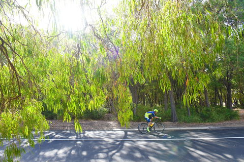 SunSmart FunMan Triathlon - Accommodation Coffs Harbour 0