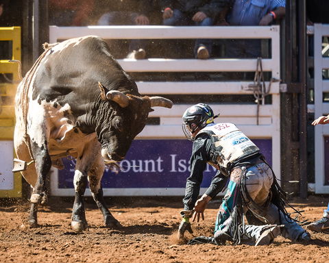 The 2020 Virtual Mount Isa Mines Rodeo - Accommodation Coffs Harbour 2