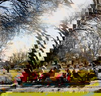 The Orange Society of Model Engineers - Miniature Train Rides - Accommodation Coffs Harbour