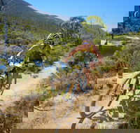 TreX Cross Triathlon Series  Snowy Mountains - Accommodation Coffs Harbour
