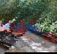 Twilight Run   Willans Hill Miniature Railway - Accommodation Coffs Harbour