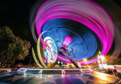 Willunga Almond Blossom Festival - Accommodation Coffs Harbour 2