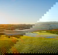Wine and Food at Altitude - Accommodation Coffs Harbour