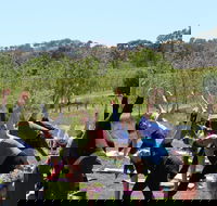 Yoga in the Vines - Accommodation Coffs Harbour