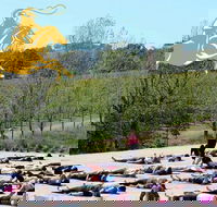 Yoga in the Vines - Accommodation Coffs Harbour