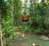 The Canopy Rainforest Treehouses and Wildlife Sanctuary - Accommodation Coffs Harbour