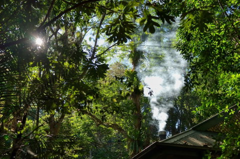 Narrows Escape Rainforest Retreat - Accommodation Coffs Harbour 5
