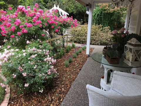 Clarendon Cottages - Accommodation Coffs Harbour 5