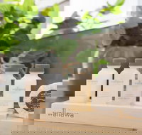 BOUTIQUE STAYS - Elwood Hideaway - Accommodation Coffs Harbour