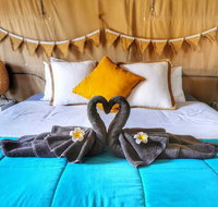 The Eco Beachcamp Retreat - Accommodation Coffs Harbour