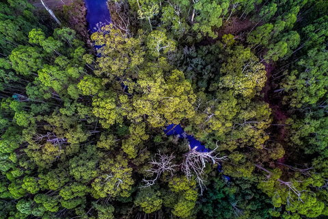 Saintys Creek Cottage - Accommodation Coffs Harbour 4