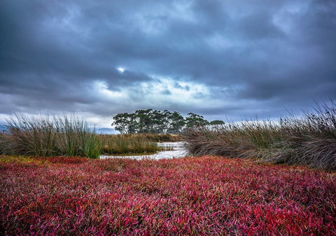 Saintys Creek Cottage - Accommodation Coffs Harbour 0