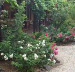 Maldons Eaglehawk Motel