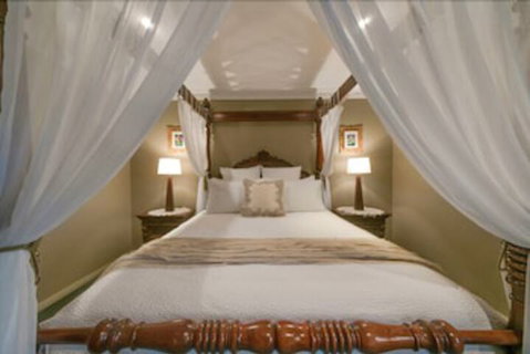 Mountainside B&B - Accommodation Coffs Harbour 7