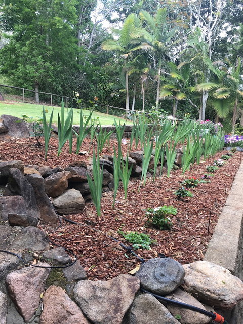 Sienna's Chalet - Accommodation Coffs Harbour 5