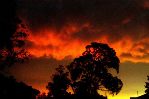 Taits Place Vineyard B & B - Accommodation Coffs Harbour 2