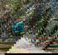 Blueberry Hills On Comleroy - Accommodation Coffs Harbour