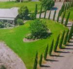 Gaerwood B  B - Accommodation Coffs Harbour