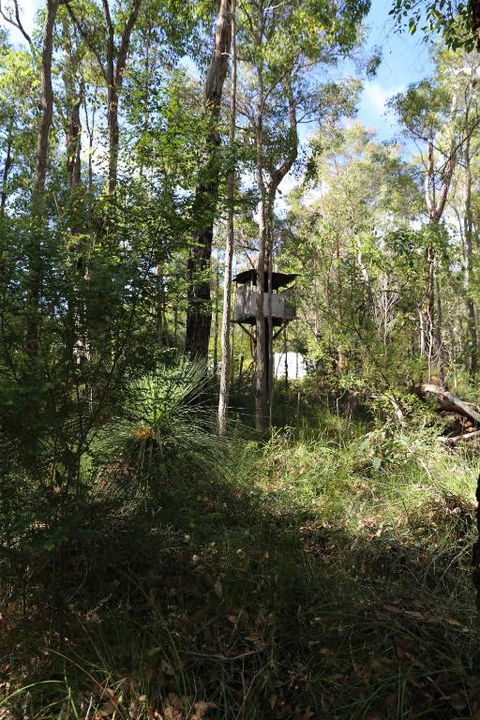 Nannup Bush Retreat - Accommodation Coffs Harbour 2