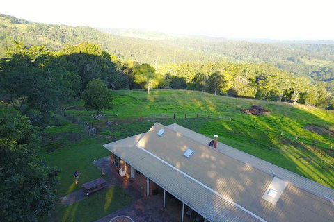 Maleny Orchard - Accommodation Coffs Harbour 4