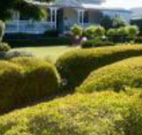 Whiskey Gully Wines - Accommodation Coffs Harbour