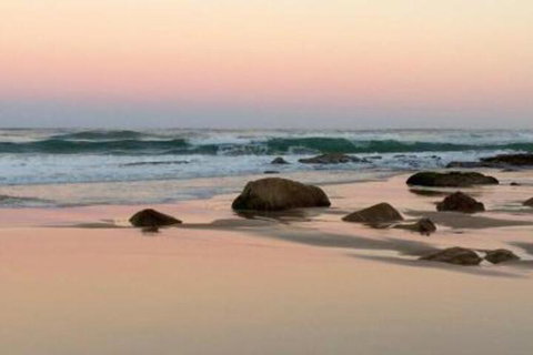 Apricari Oasis By The Sea - Accommodation Coffs Harbour 4