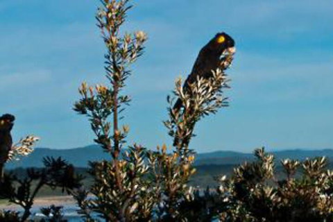 Apricari Oasis By The Sea - Accommodation Coffs Harbour 6