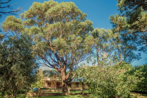 Secluded Homestead Amongst The Trees - Accommodation Coffs Harbour 3