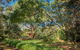 Secluded Homestead Amongst The Trees - thumb 6