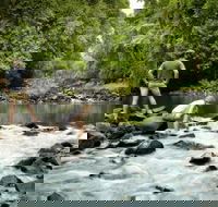 Sharlynn by the River - Accommodation Coffs Harbour