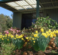 Nannup Riverview Cottage - Accommodation Coffs Harbour