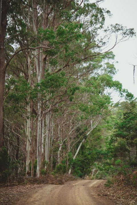 Naivasha Cottage - Accommodation Coffs Harbour 2