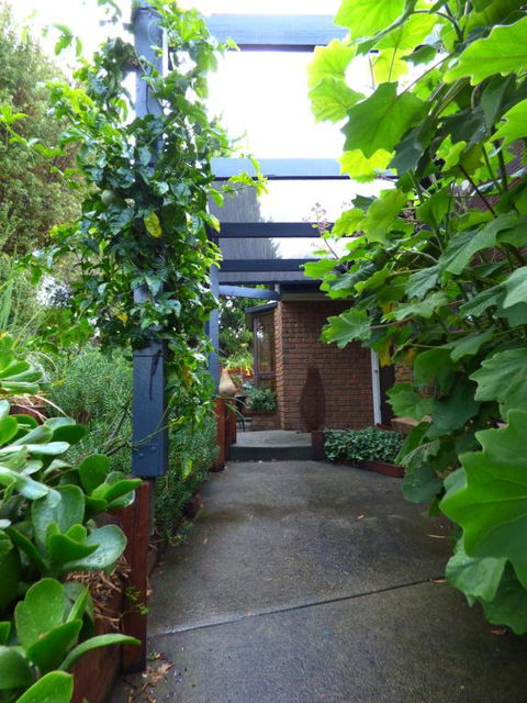 A Suite Spot In The Hills - Accommodation Coffs Harbour 5