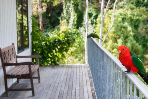 At Riverside - Accommodation Coffs Harbour 5